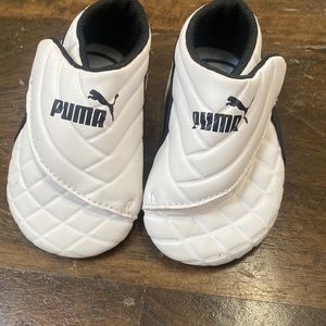 Infant Pumas